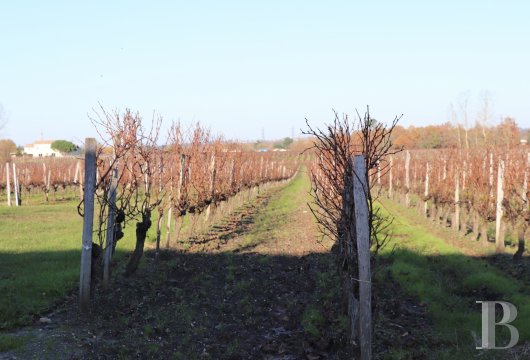A wine-growing property and its traditional, renovated house  on the heights of the Côtes-de-Bourg area